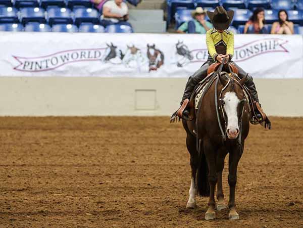 EC Photo of the Day- “All You Need is Prayer and a Mare”