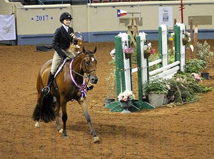 Order Your AQHA World Show Pre-paid Badge Before Prices Increase