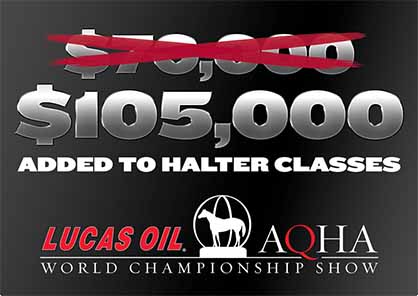 Now $105,000 in Prize Money On Tap For Halter Classes at 2017 AQHA World Show