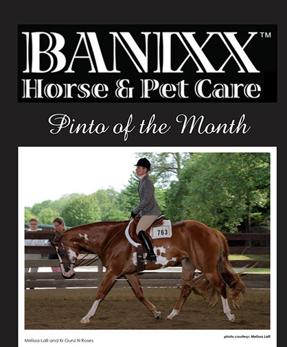 PtHA Banixx Horse of the Month is…
