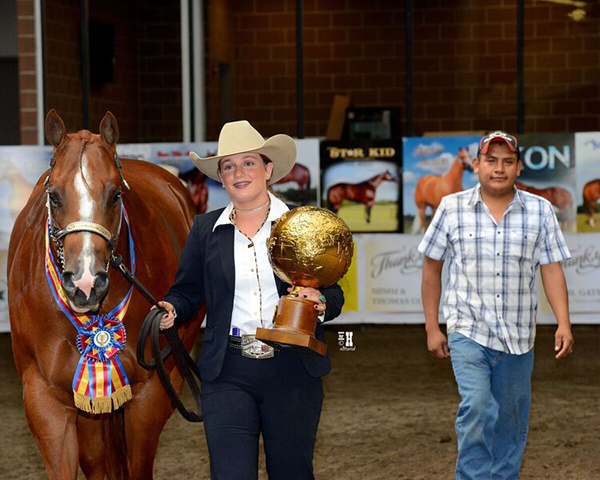 2018 Breeders Halter Futurity Shaping up to be Biggest and Best Yet