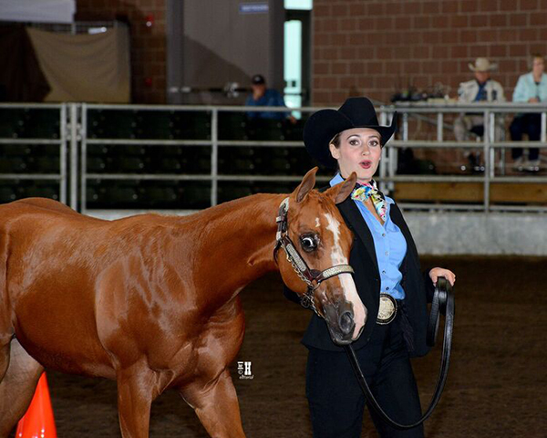 9/17 Photos from 2017 Breeders’ Halter Futurity