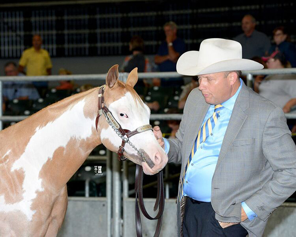 Breeders Halter Futurity Votes to Include Additional Color Registries