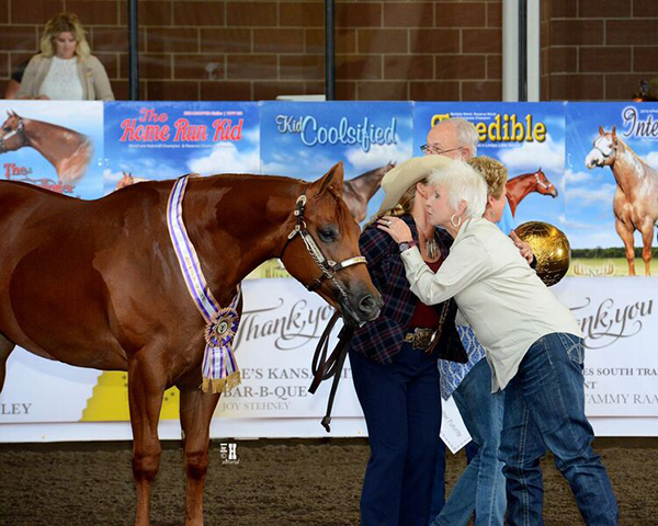 9/16 Photos From 2017 Breeders’ Halter Futurity