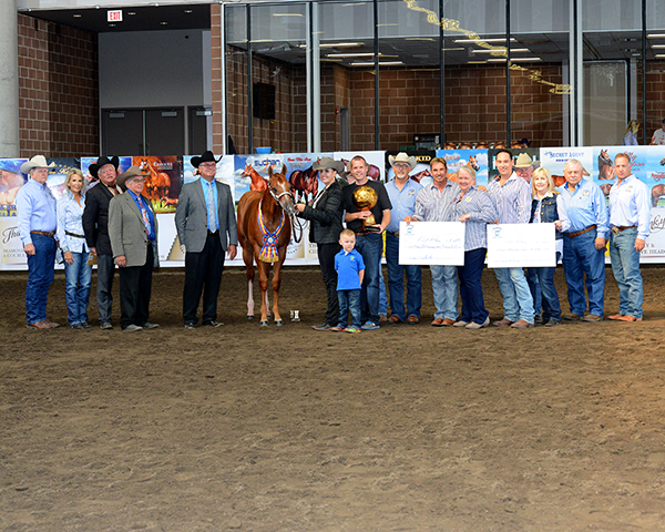 Around the Rings- 2017 Breeders’ Halter Futurity