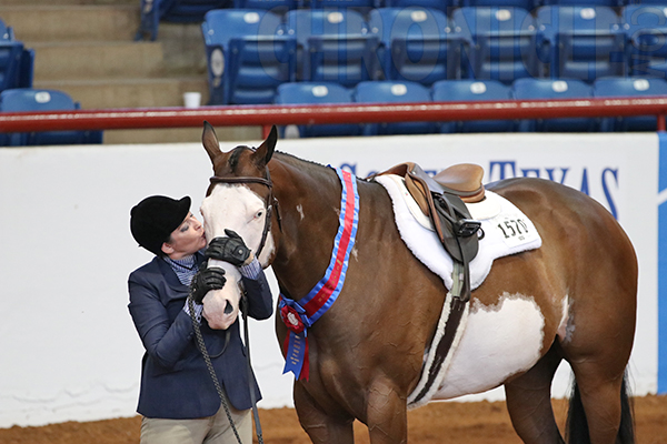 Megan Brown and All On The Line Win APHA World Masters Amateur Sr. Hunter Under Saddle