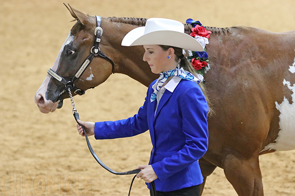 APHA World Halter, Big Money, WCHA Winners Include Franks, Hernandez, Erhardt, Weiscamp, Watson, and More!