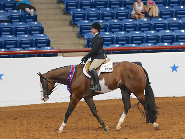 Moxie Machine Claims Second APHA World Title in Green Hunter Under Saddle