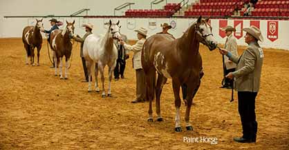 Paints Dominate 2017 WCHA Breeders Championship and Big Money Futurity