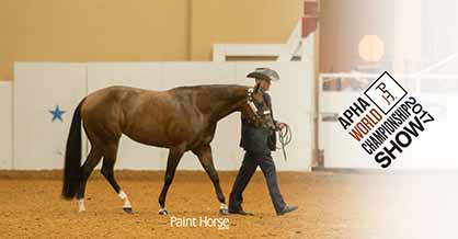 Inaugural Performance Halter Champions Crowned at 2017 APHA World