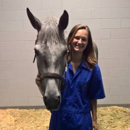 First Equine Guests Arrive at The ARK at JFK, World’s First Animal Reception Airport Terminal