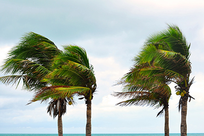 Temporary Suspension of Livestock Movement Restrictions and Shelter Openings in Face of Hurricane Michael