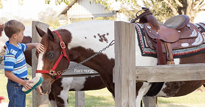 Support CHAMPs Challenge at 2017 APHA World Show Tack Drive