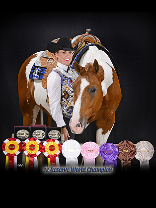 In Loving Memory of Multiple APHA and PtHA World Champion, Sheiks Winning Colors (2003-2017)