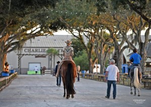 The 2017 Florida Gold Coast Quarter Horse Circuit will welcome both English and Western riders to the Tampa State Fairgrounds Dec. 28-31. - Photo by Wavelength Design Photography 