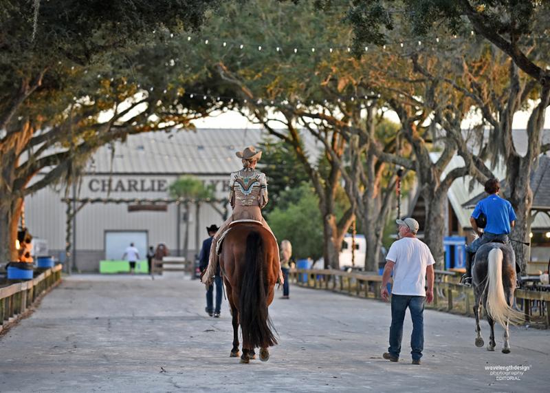 Florida Gold Coast Quarter Horse Circuit Returns to Tampa Dec. 28-31