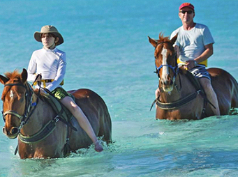 Time for a Timeout? – Saddle Up and Set Yourself Free on a Horsey Vacay