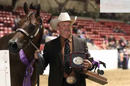 10/17- QH Congress- Grand and Reserve Open Gelding