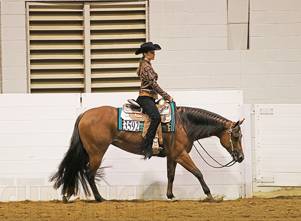 10/27- 2017 QH Congress- Amateur Western Pleasure