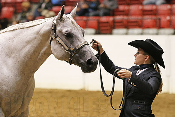 Allie Tamulewicz and Summer Hotrod Unanimous in 63-Entry Youth Performance Geldings
