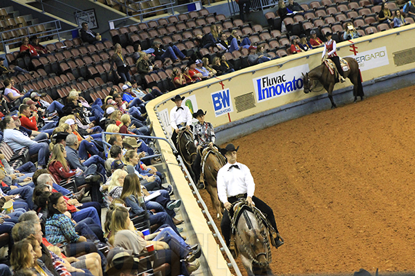 Changes Coming to AQHA Show Approval, Processing Fees