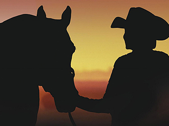 Death of AQHA’s Stallion Incentive Fund Program