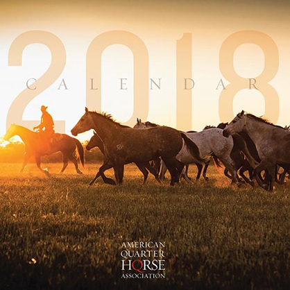 AQHA Member Photos Featured in 2018 Calendar