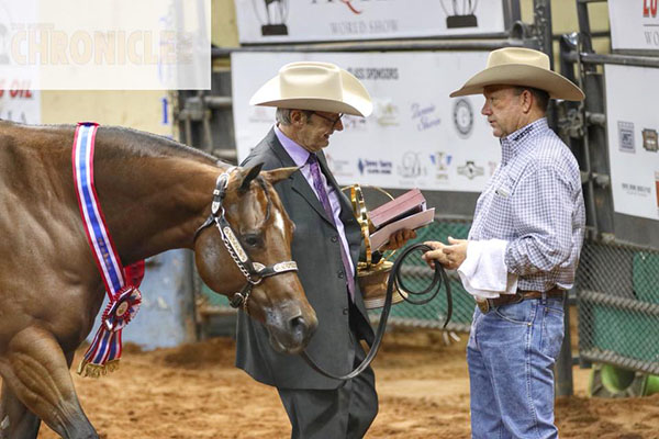 Afternoon AQHA World Halter Champions Include Frank Berris/Bee Jewelled, Josh Weakly/Legacee