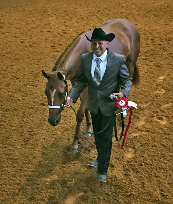 2017 Appaloosa World Show Results