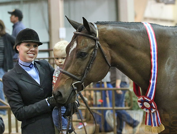 Beth Case and Willy Has Potential Win Senior Hunter Under Saddle For the Second Time