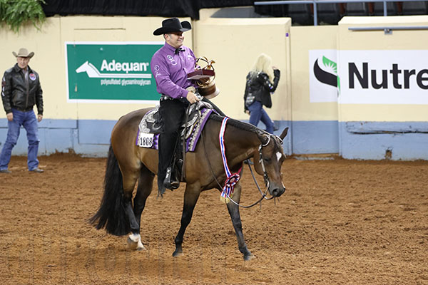 2017 AQHA World- Senior Western Riding, Amateur Equitation