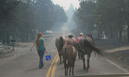 Ravaging Wildfires Bring Horse Community Together