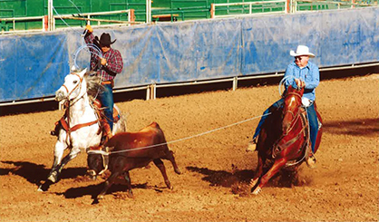 UC Davis Helps Champion Quarter Horse Return to Competition After Botulism Poisoning