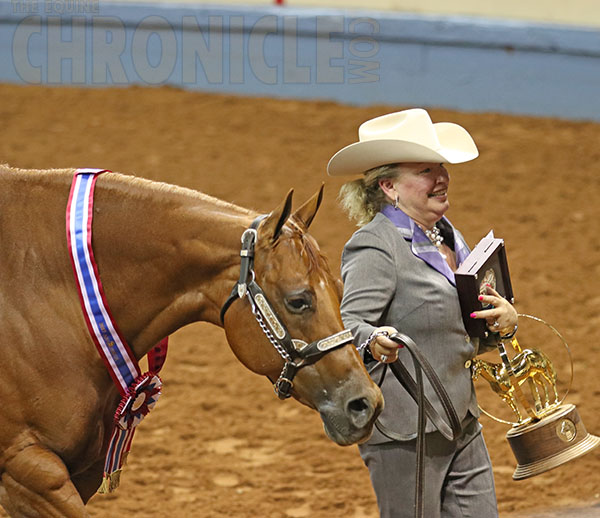 Dick Donnelly/Hez Outa The Box, Josh Weakly/Its Gameday, Joy Stehney/PF Supreme Surprise Are Afternoon Halter AQHA World Champions