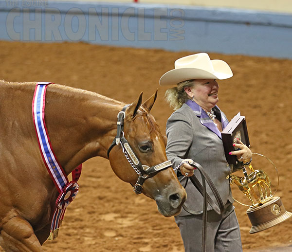 2017 AQHA World- Am. Performance Geldings, Am. Yearling Fillies, Am. 2-Year-Old Geldings, Am. Aged Stallions, Am. Aged Geldings, Am. Aged Mares