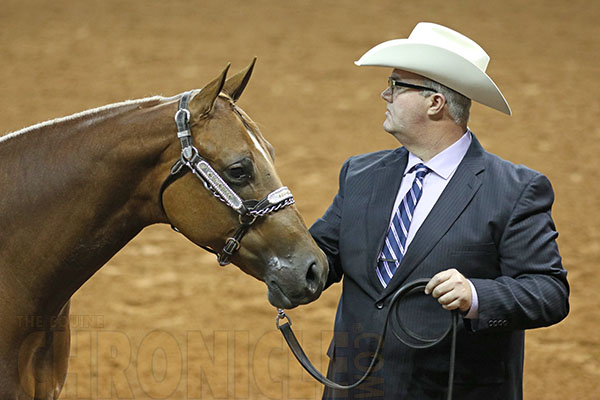 Johnna Dobbs/Mytesly, Thomas Coon/Inexces, Larry Roberts/Secretist Are Morning Halter AQHA World Champions