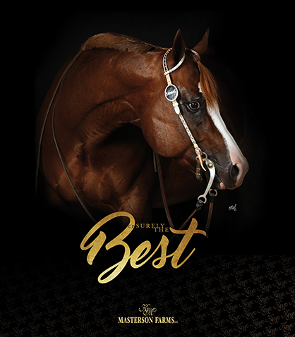 Masterson Farms Announces Purchase of RL Best Of Sudden Son, CP Surely The Best