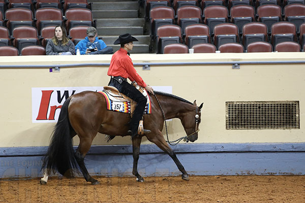 Aaron Moses and Lope With Grace Win AQHA World 2-Year-Old Western Pleasure