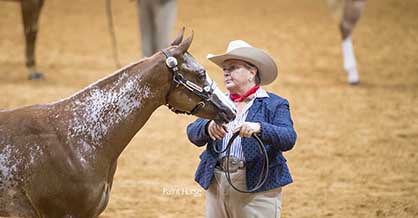 Three New Features Expand APHA Platinum Breeders Futurity Program For 2018