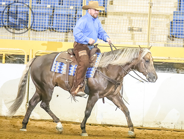 National Western Stock Show Announces NEW Horseman’s Challenge