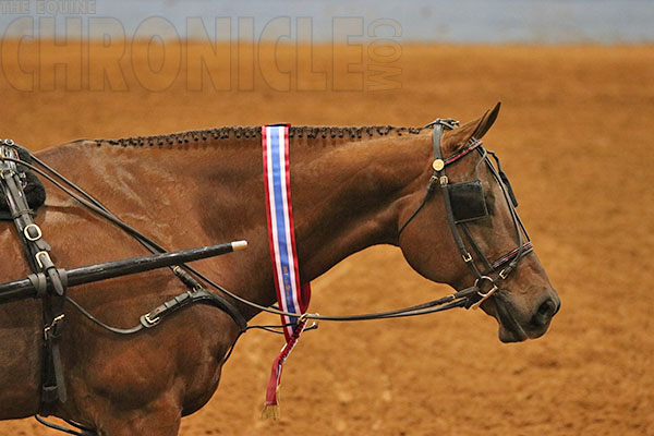 L2 Pleasure Driving Wins Go To Alice Holmes/Hoo Got The Blues and Susan Kempfer-Weeks/Millennium Cowboy