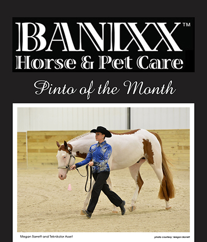 PtHA Exhibitor and Horse of the Month: Emma Thornton/The Big Bad Boogey Man and Megan Barrett/Teknikolor Asset