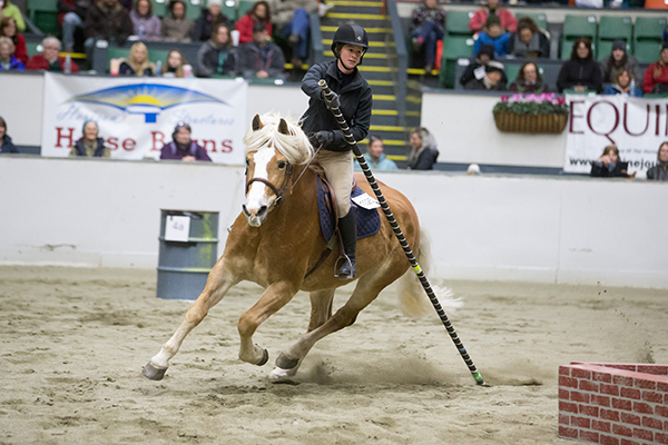 Test Your Horsemanship and Win Cash in Equine Affaire’s Versatile Horse & Rider Competition