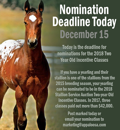 Nomination Deadline is TODAY (Dec. 15th) For ApHC World 2-Year-Old Incentive Classes