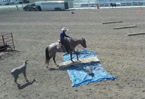 Janelle working with Hazard.