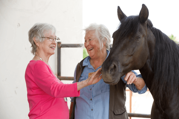 Innovative Senior Living Center Offers Equine Therapy at On-Site Stable
