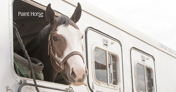 APHA Addresses New ELD Mandate and Potential Effect on Horse Industry