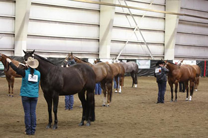 Oregon Invites Entry-Level Exhibitors to January Event