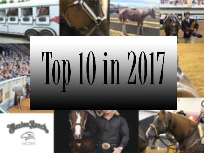 Top 10- A Year in Review- Equine Chronicle’s Most Popular Stories For 2017