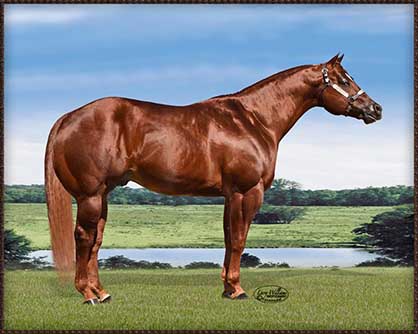 Iowa Quarter Horse Association Breeder’s Futurity Stallion Auction